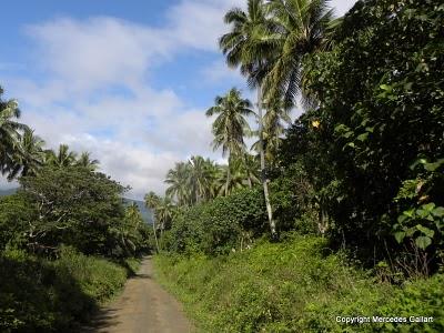 VANUATU: BAJO EL VOLCAN YASUR EN LA ISLA DE TANNA