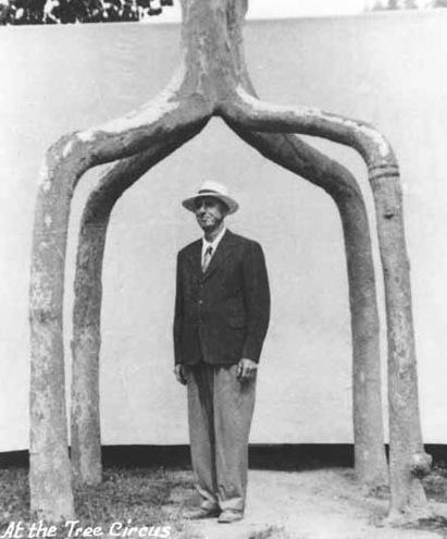 Naturaleza Manipulada