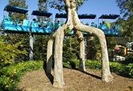 Naturaleza manipulada