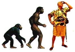 evolution_da_scimmia_a_turista.res[1]