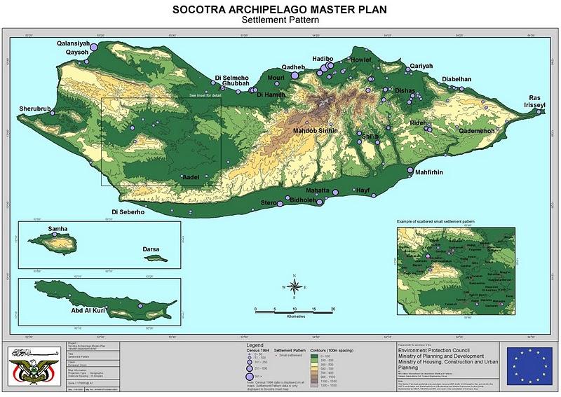 LOS MÁGICOS ÁRBOLES DE SOCOTORA