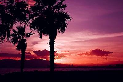 Después de un invierno malo...