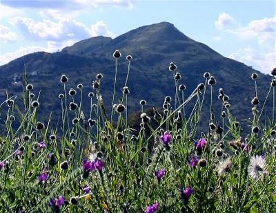 Después de un invierno malo...