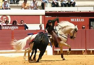 VENTURA Y MOURA A HOMBROS EN EL FESTEJO MATINAL DE REJONES DE LAS FIESTAS ARACELITANAS