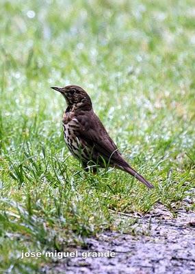 ABRIL AGUAS MIL,¿QUIEN DIJO MIEDO A SALIR?
