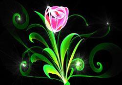 Lo mejor de lo mejor… en la web. (6)