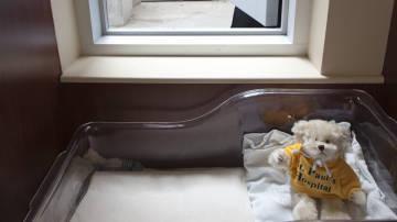 Facilidades (para todo)