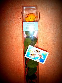 FELIZ DIA DE LA MADRE