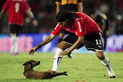 EL ÚNICO QUE PERDIÓ PUNTOS FUE EL ROJO