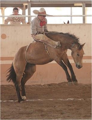 Hacienda Vieja “A”, 364 en el Campeonato ´Charro Millonario de Tepic