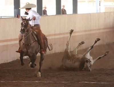 Supremacía en el Campeonato Nacional Charro Millonario “El Dorado”