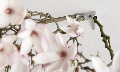 Ramas que cuelgan de la pared