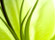 Escritorios semana 2010