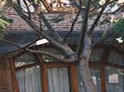 Nuestra experiencia cole Waldorf