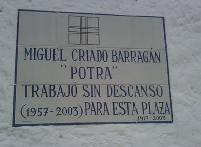 ¿Qué ven los veedores?