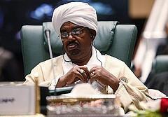 El gallinero alborotado y las 