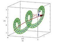 La flecha bidimensional del tiempo biológicoEl tiempo bio...