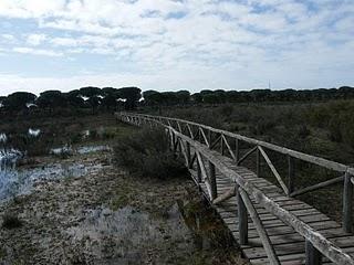 Ruta por Doñana: Centro de Visitantes del Acebuche y Playa de Cuesta Maneli.