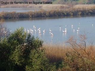 Salida a las Lagunas de Espera, domingo 18/1