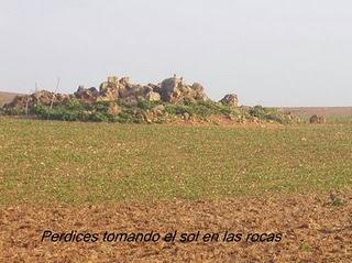 Salida a las Lagunas de Espera, domingo 18/1