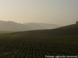 Salida a las Lagunas de Espera, domingo 18/1