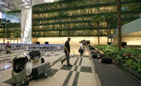 Esto no es una de las oficinas de Google...