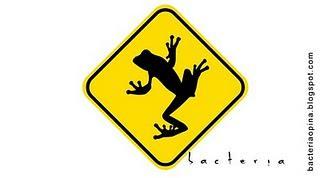 A vuelo de Gaviota – Ed. 1