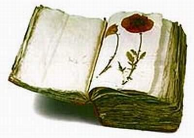 Una decisión con negros adjetivos