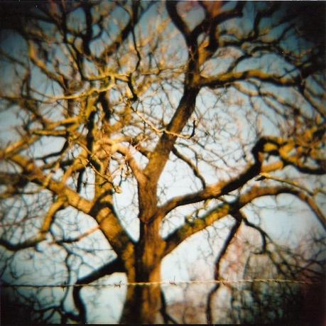 La 'teoría de los seis grados' resucita gracias a las redes sociales