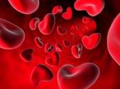 Equilibra sanguíneo, pierde peso aumenta energía