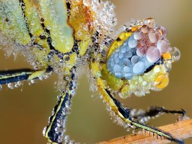 Otras formas de beber