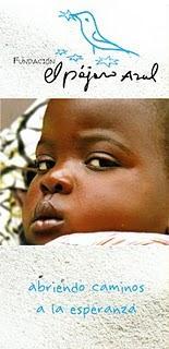 Un pájaro azul en el Auditorio