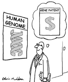 La empiria de la innovación