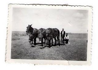 El incalculable valor de una fotografía antigua en blanco y negro