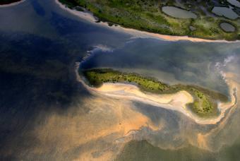 El vertido de petróleo en el Golfo de México toca tierra en Luisiana