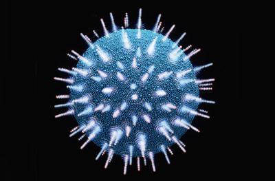 PETICIÓN de un TEST DIAGNOSTICO del RETROVIRUS XMRV al MINISTERIO de SANIDAD ESPAÑOL. Por tu SEGURIDAD