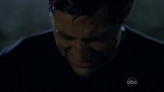 7 imágenes, 7 series (XXXI)