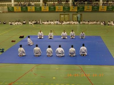 II GALA DE ARTES MARCIALES EN MOTRIL