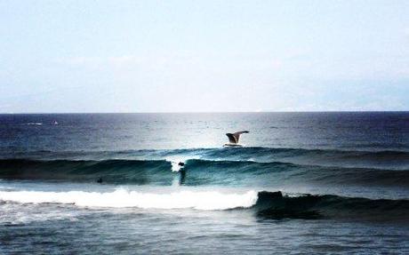 el-dedo 7 días en Tenerife