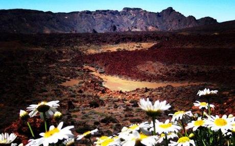Teide 7 días en Tenerife