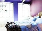 encanto animal print