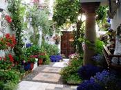 Córdoba, patios llenos vida
