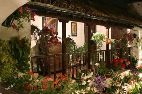 Los Patios de Córdoba.