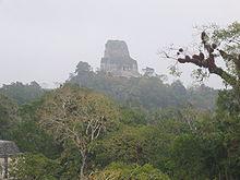 El Dorado y la ciudad perdida de Paititi.