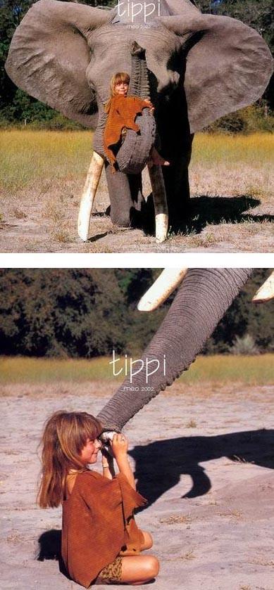 11 Tippi la Niña de la Selva