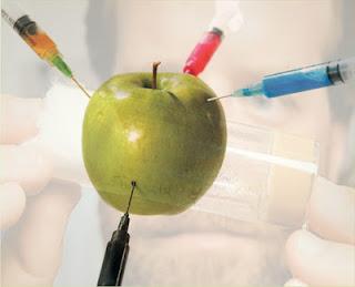 Semillas y alimentación en el futuro de Colombia