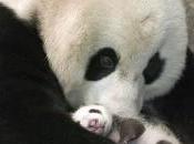 ¡Sin coste, gratuitamente!