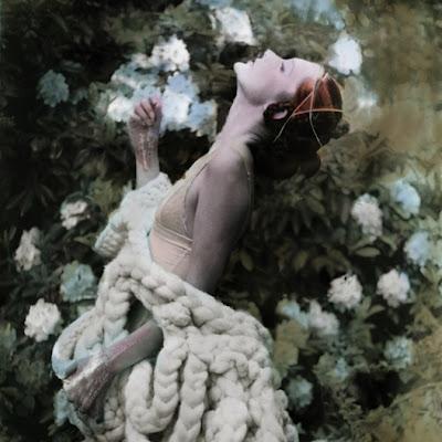 ¿Para qué, de lo bruno hacer derroche?