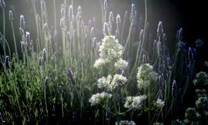 MIENTRAS, A TU ALREDEDOR… (y II)