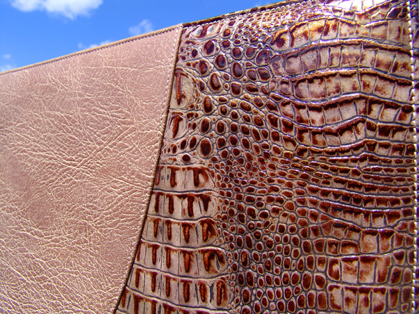 Piel Fort, nuevo patrocinador